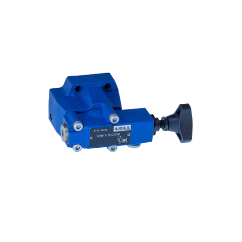 DZ10-1-30/ тип клапана давления пилот